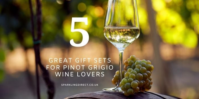 5 Great Gift Sets For Pinot Grigio Wine Lovers