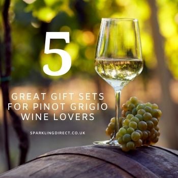 Top 5 Pinot Grigio Wine Gifts