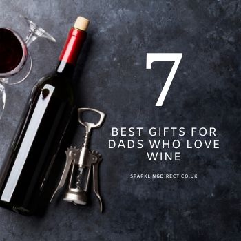 7 Best Gifts For Dads Who Love Wine