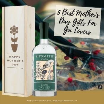 5 Best Mother’s Day Gifts For Gin Lovers