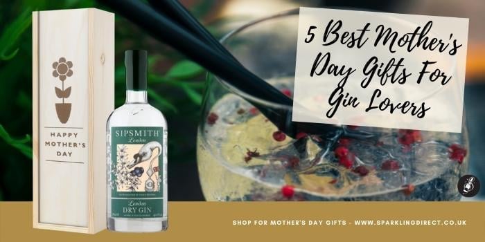 5 Best Mother’s Day Gifts For Gin Lovers