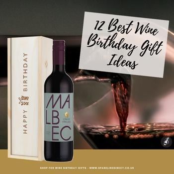 12 Best Wine Birthday Gift Ideas