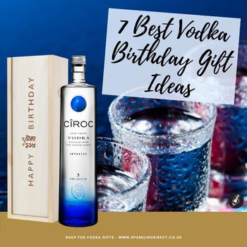 7 Best Vodka Birthday Gift Ideas