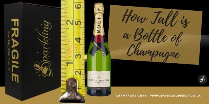 How Tall is a Bottle of Champagne?