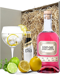 Scout And Sage Raspberry Gin And Tonic Gift Set