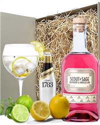 Raspberry Gin and Tonic Gift Set