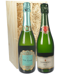 Cava Mixed Two Bottle Wine Gift