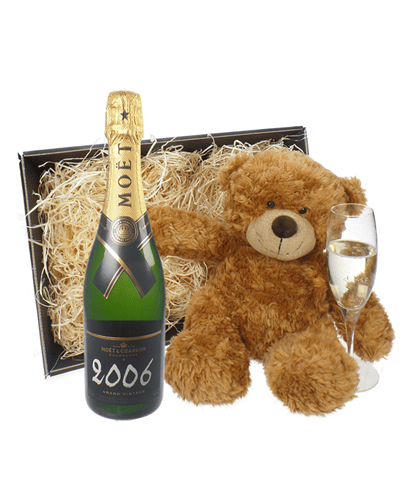 Moet & Chandon Vintage Champagne and Teddy Bear Gift Basket