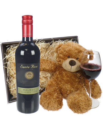 Argentinian Malbec Red Wine and Teddy Bear Gift Basket