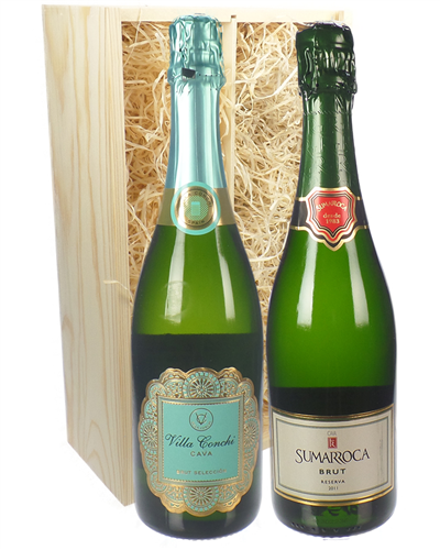 Cava Mixed Two Bottle Wine Gift in Wooden Box