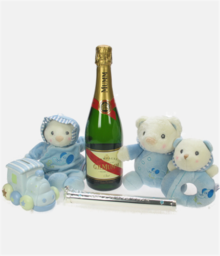 Mumms The Word Baby Boy Gift Basket