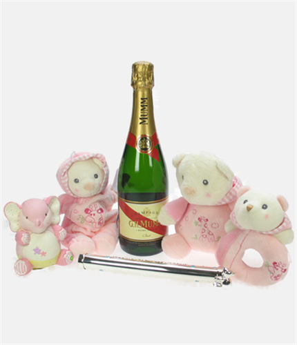 Mumms The Word Baby Girl Gift Basket