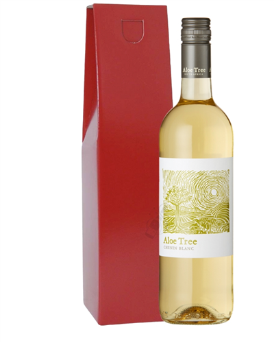 South African Chenin Blanc White Wine Gift Box